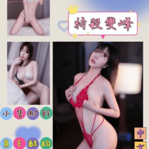 桃園定點|乖乖
