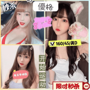 新竹定點|優格
